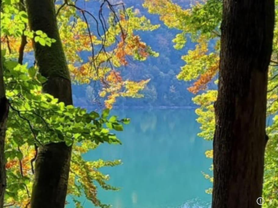 Au coeur des vignes à proximité des lacs et cascades ambiance cosy poêle à granulés Passenans Extérieur photo