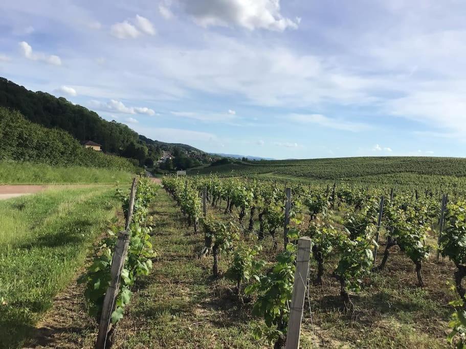 Au coeur des vignes à proximité des lacs et cascades ambiance cosy poêle à granulés Passenans Extérieur photo